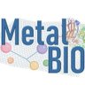 MetalBio's profile picture. Spanish network of metal ions in biological systems.

Red de iones metálicos en sistemas biológicos.