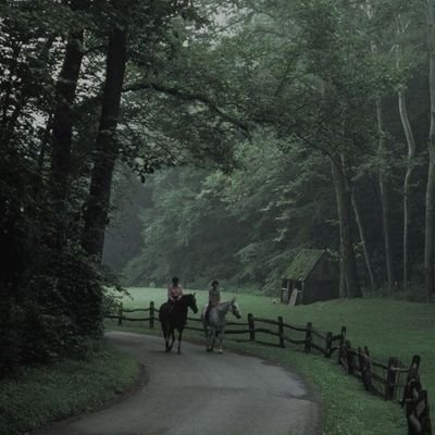 Mhdmiyy's profile picture. 