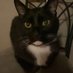 hailey (@haileyyow427) Twitter profile photo hailey (@haileyyow427) Twitter profile photo