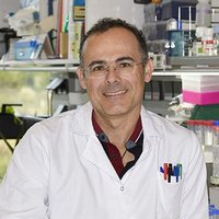 David Albesa-Jove (@albesajove) 's Twitter Profile