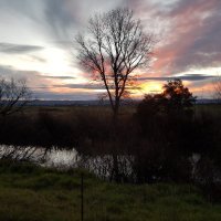 Jason Cruickshank (@arealcruick) 's Twitter Profile