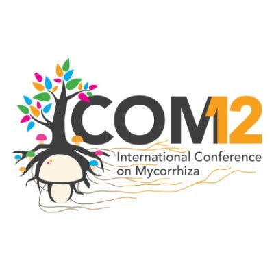 #ICOM12 is coming to Manchester, 4-9th August, 2024! We can't wait to welcome mycorrhizal researchers to the UK, follow us for info and updates 🌍🍄🌱