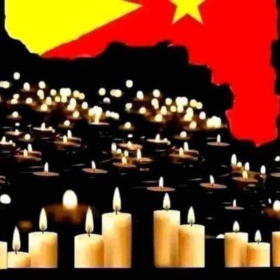 I stand with Tigray 💪💪💪❤️❤️ ❤️