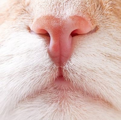 2oUpgKsbzB77573's profile picture. フォローワーの皆様へ
石破ロスに加え高市ショックで心身共にに疲れ果てました
元々メンタルの不調もあり暫くの間休養いたします🙇
戻ってきた再には宜しくお願い致します🙏