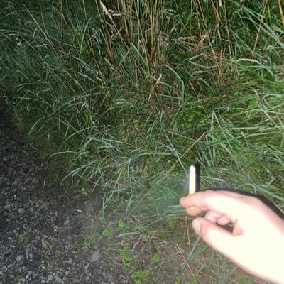 aikok2001's profile picture. TW SH! Backup of @aikok69