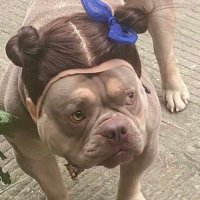 chad dylan cooper (@muzluyulaff) Twitter profile photo