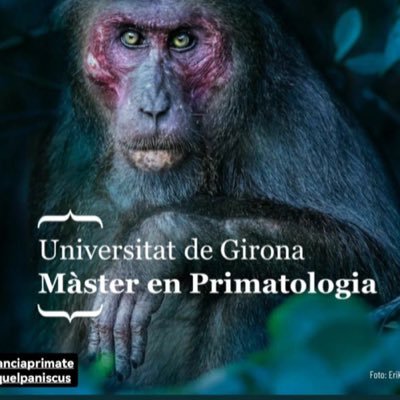 #primatología 🦍🦧🌲🌎💚