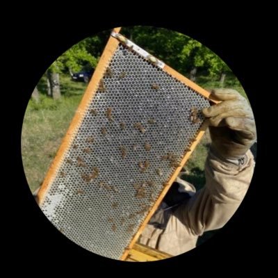 ECO414142's profile picture. 