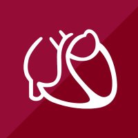 AG 19 - Kardiovask. Hämostase/antithromb. Therapie(@AG19_DGK) 's Twitter Profile Photo