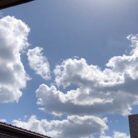 羽洞はる彦 (@udo_haruhiko) 's Twitter Profile Photo