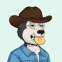 razxr.base (@0x_razxr) 's Twitter Profile
