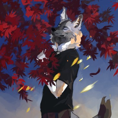 He/him ༶ student veterinary medicine ༶ PM friendly ༶ Open for talking Sometimes 🔞 My tg: @James_wulf