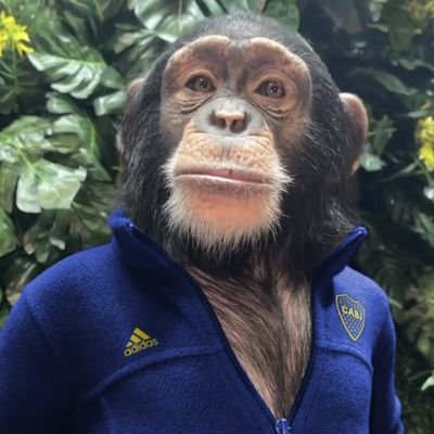 PedroBocajrs's profile picture. 