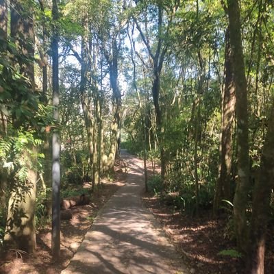 natusystem's profile picture. sistema natú, eles/deles | tea, tdi | filhos da terra 🍀 did, they/them 🌳