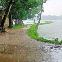 ব্যস্ত জীবন (@amanull65059410) 's Twitter Profile