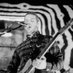 Ben VanderHart (@benvanderhart) Twitter profile photo Ben VanderHart (@benvanderhart) Twitter profile photo