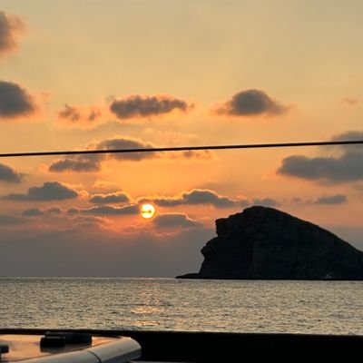 pudicatigris's profile picture. 아포방포💜