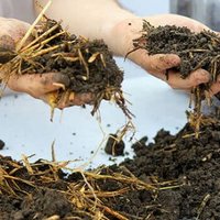 Rikmanspoel (@rikmanspoel) 's Twitter Profile Photo