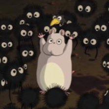 w_uf050823's profile picture. 趣味アカウント·͜· ︎︎ᕷ名探偵コナン/服部平次 /ジブリ大好き女子 /猫好き/トムとジェリー /プーさん/ボーちゃん /ズートピア/ニック/SEVENTEEN/WONWOO/DK