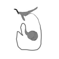 ROPE EDITIONS (@ropeeditions) 's Twitter Profile Photo ROPE EDITIONS (@ropeeditions) 's Twitter Profile Photo