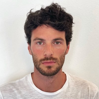 GuidiGianluca's profile picture. phd student in ai @ university of pisa
