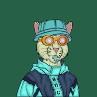 premium_ ICT (✸,✸) (@amine_200k) 's Twitter Profile