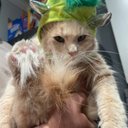 Sandra Mote - @justforkicks_13 - Twitter