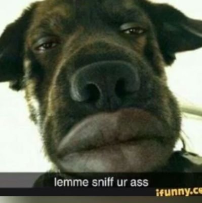 DevonKeim1's profile picture. yolo