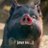 snowyjoo_'s profile image