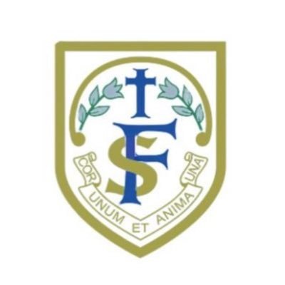 FernTransitus's profile picture. ✨P7 Transitus with Mrs Ferry