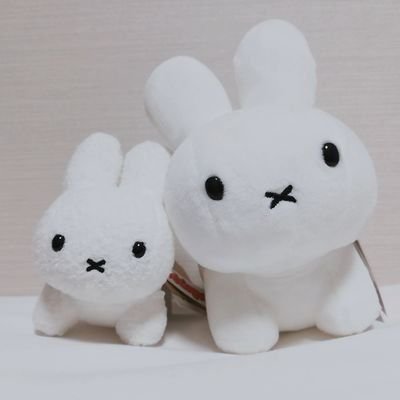 まみ🐰さんのプロフィール画像