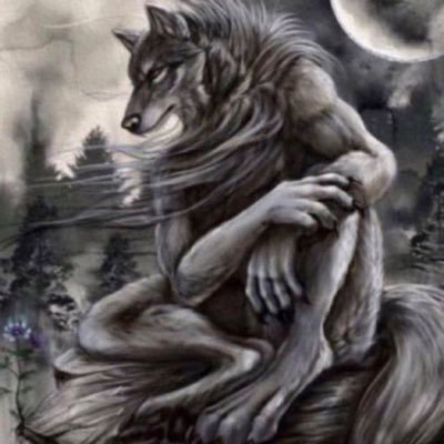 29 he/him bi switch -deeply perverted and disturbed capable of love but not really⦠touring musician lover of nature + fancy things slow at dms but always reply