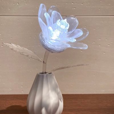 HecateGreen's profile picture. Agent SNCF