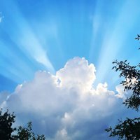 Ded Dark (@deddark) 's Twitter Profile