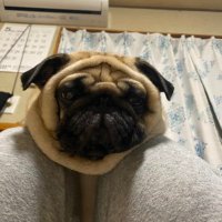 うめちゃん様の専用でございます。 還暦祝いの定番｜赤色-鶴亀甲柄-ちゃんちゃんこ｜男女兼用