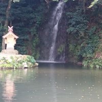 島たけし (@wwehttss) Twitter profile photo