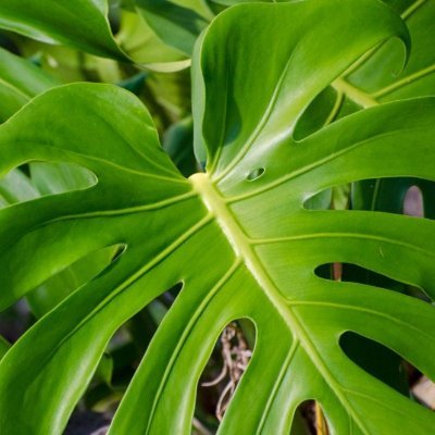 this_is_twitt3r's profile picture. twitter