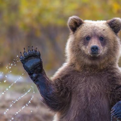 wtfsommi's profile picture. idk. Dm for ads and PR📩