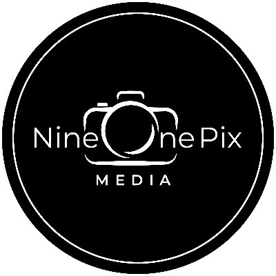 @nineonepix
