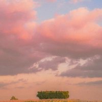 ziinrae (@tumea020) 's Twitter Profile