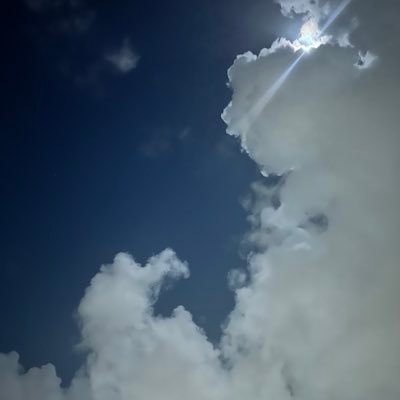 mariobrosM77772's profile picture. 