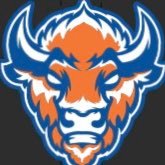 Official Twitter account for Fenton Bison Football 🦬🏈- Member of the @UpstateEight - HFC: Shane McNally (@Coach_McNally00) - One Team, one Heartbeat!