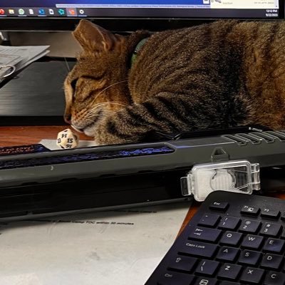 jake_galvan17's profile picture. 