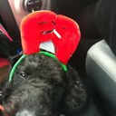 Margaret Roberts - @MargaretRobert2 - Twitter