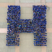 University at Buffalo Honors College(@UBHonors) 's Twitter Profile Photo