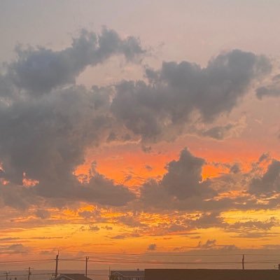 sarahbr33n's profile picture. 