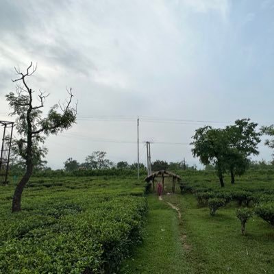 DebAnurupa21101's profile picture. 