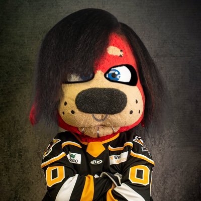 I’m Spike, the official mascot of the @WheelingNailers 🏒🐶