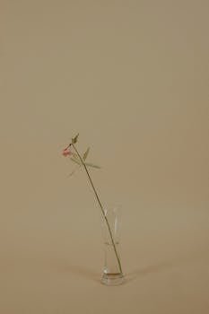 davis_rosa10691's profile picture. "When you have a dream, you've got to grab it and never let go."
— Carol Burnett