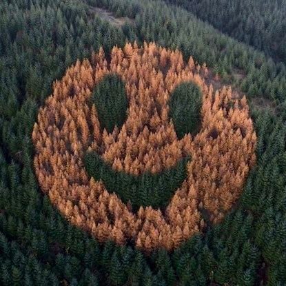 _Metasplainer's profile picture. Fat Hillbilly.  I like turtles.